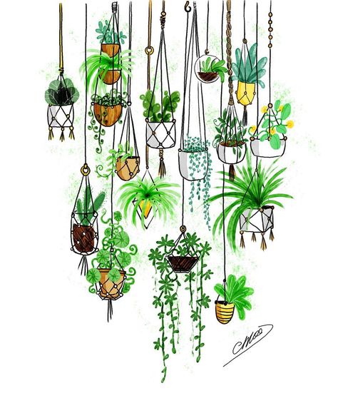 🌿 50 shades of green . by Chloé Dijon Plant Doodle, Advocate Art, Plant Painting, 수채화 그림, Bullet Journal Art, Plant Drawing, Plant Illustration, Color Pencil Drawing, Plant Art