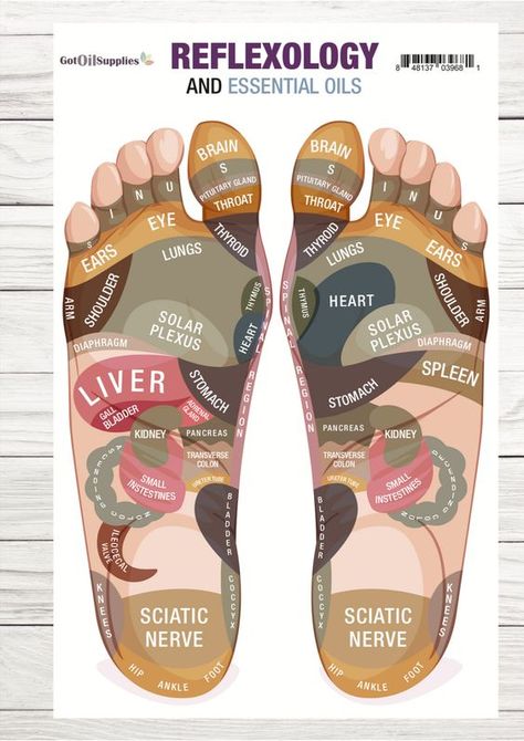 Internal Health, Reflexology Foot Chart, Medical Tips, Hand Reflexology, Reflexology Chart, Essential Oil Diffuser Blends Recipes, Personal Things, Reflexology Massage, Foot Reflexology