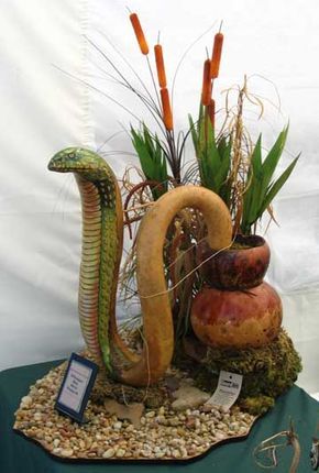 Snake Gourd, Art Figures, Petal Pushers, Gourds Crafts, Painted Gourds, Gourd Art, Reptiles And Amphibians, Snakes, Gourds