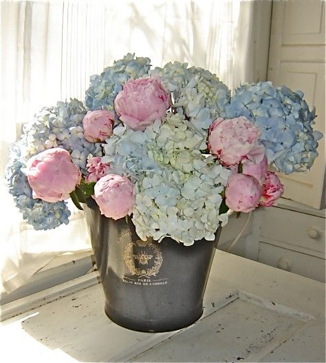 hydrangea & peonies would make a beautiful centerpiece for Laura's wedding Peony Bouquet Wedding, Peonies And Hydrangeas, Beautiful Centerpieces, Blue Hydrangea, Pink Peonies, Beautiful Blooms, Love Flowers, My Flower, Pretty Flowers