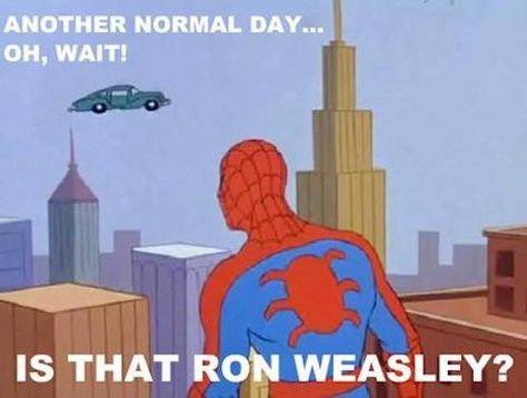 Confused Spidy Spider Meme, Spiderman Meme, Spiderman Funny, Spiderman Cartoon, V Video, Smosh, Film Serie, Really Funny Pictures, Best Memes