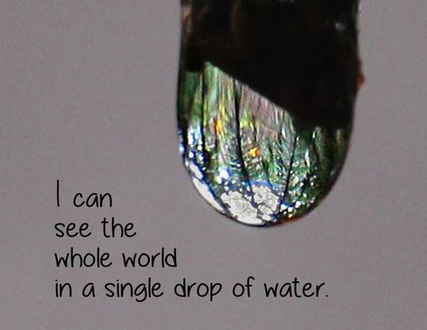 In a Single Drop of Water Water Drop Quotes, Drop Of Water, French Quotes, Unique Photography, First Photograph, Nature Quotes, Quotes Life, Water Drop, Post Cards