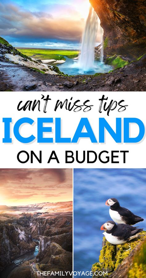 Find out how to enjoy Iceland's spectacular scenery and unique culture without overspending. Our budget travel tips will help you save on flights, accommodations, food, and activities. Perfect for thrifty adventurers! #iceland #Travel #BudgetTravel | Iceland on a budget | Iceland travel guide | Iceland travel tips Iceland Vacation, Travel Iceland, Iceland Travel Guide, Iceland Travel Tips, Iceland Itinerary, Trip To Iceland, Budget Travel Destinations, Visit Iceland, Beautiful Travel Destinations