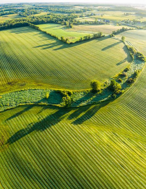 38,353 Farmland Aerial Photos and Premium High Res Pictures - Getty Images Farm Images, Green Farm, Aerial Photos, Farm Field, Farm Photo, Aerial Photo, Still Life Art, Aerial Photography, Surface Textures