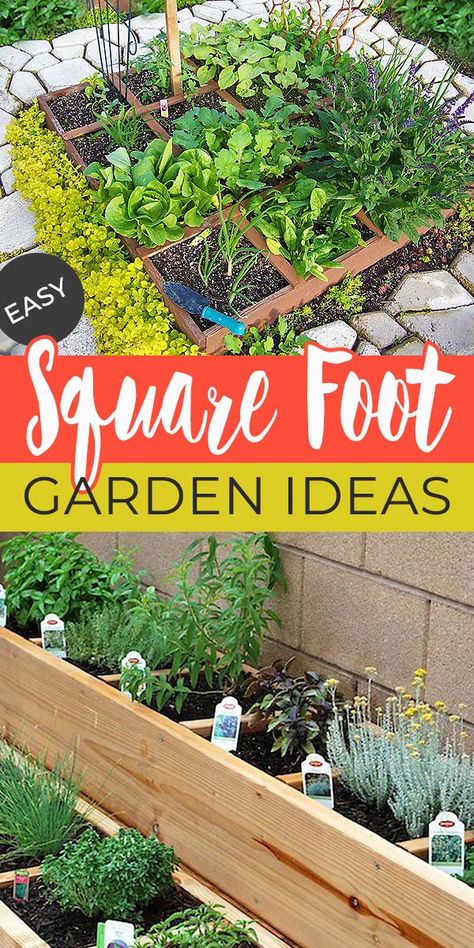 Easy Steps To Square Foot Gardening Success • The Garden Glove Square Foot Gardening Layout, Gardening Essentials, Beginners Gardening, Square Foot Garden, Raised Gardens, Garden Bed Layout, Companion Gardening, Spice Garden, Homestead Ideas