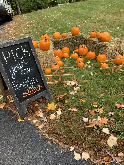 My First Pumpkin Patch, Indoor Pumpkin Patch Ideas, 1st Birthday Pumpkin Patch, Second Birthday Fall Theme, October Toddler Birthday Ideas, Fall Bash Ideas, My Pumpkin Is Turning One, Pumpkin Patch At School, Fall Party For Toddlers