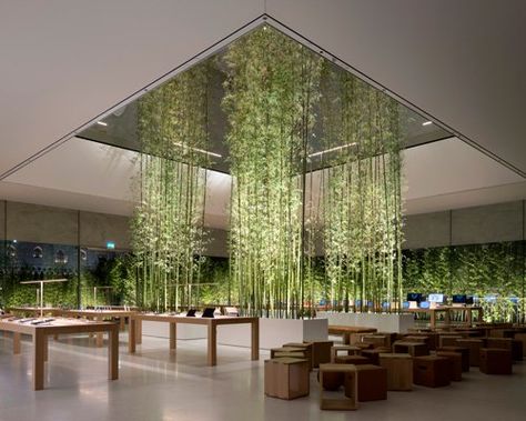 Biofilia Interior Design, Biofilic Design, Apple Store Design, Biophilic Architecture, Photoshop Magazine, Atrium Design, Foster Partners, التصميم الخارجي للمنزل, Green Architecture