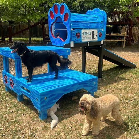 Cute Dog Run Ideas, Diy Dog Run, Dog Boarding Ideas, Dog Daycare Business, Puppy Playground, Indoor Dog Park, Dog Friendly Backyard, Dog Boarding Facility, Dog Backyard