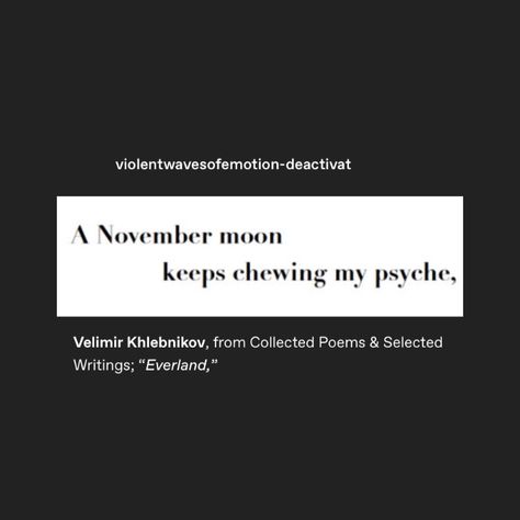 November Aesthetic Quotes, Quotes About November, November Poems, November Tumblr, November Poetry, November Poem, Grey Academia, Journaling Quotes, November Vibes