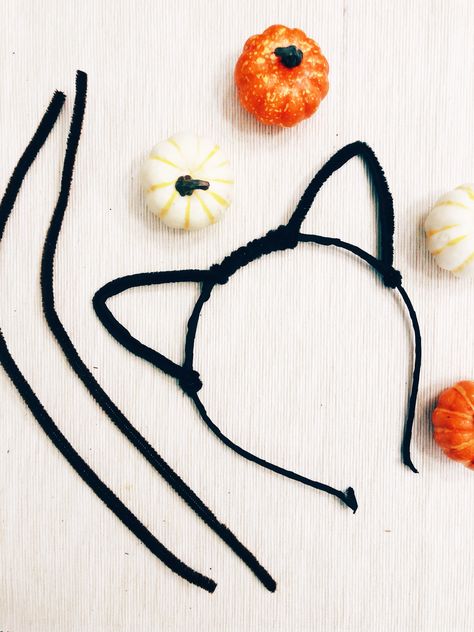 All you need is a headband and some black pipe cleaners to make this project happen! If you're in a pinch for a last minute Halloween costume- look no further! You can either twist the entire headband with pipe cleaner to make the whole thing look fuzzy OR just a few times, shape the ears and them twist the remainder! Make Cat Ears Headband, Easy Cat Ears Diy, Last Minute Cat Costume, Easy Halloween Costumes Diy Last Minute, Halloween Headbands Diy, Cat Headband Craft, Diy Cat Ears Headband, Pipe Cleaner Headband, Karnevalove Masky