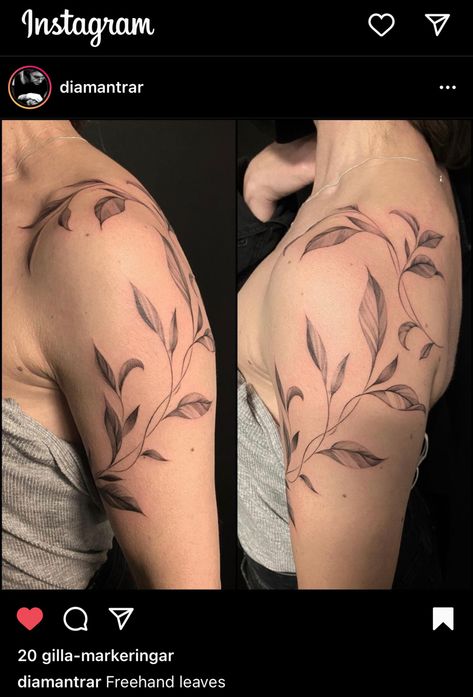 Leaf Tattoos For Women On Arm, Types Of Leaves Tattoo, Flower Shoulder Wrap Tattoo, Branch And Leaves Tattoo, Shoulder Branch Tattoo, Leaves Shoulder Tattoos For Women, Upper Arm And Shoulder Tattoo, Olive Branch Tattoo Shoulder Wrap, Shoulder Leaf Tattoos For Women