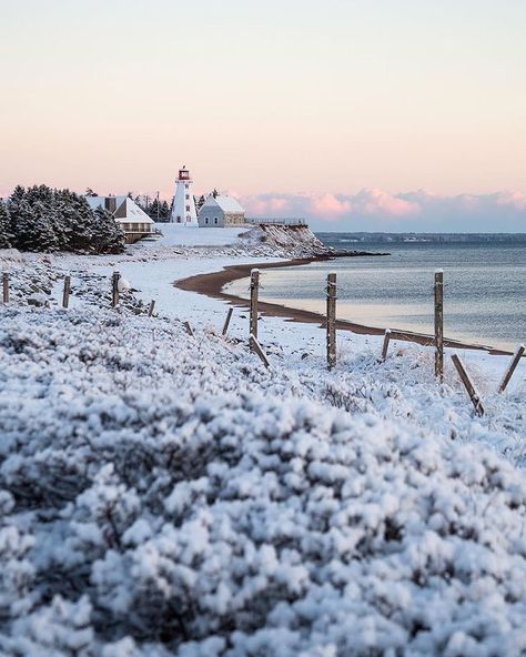 Experience Acadie on Instagram: “De la terre rouge à la neige blanche..❄️ From the red soil to the white snow..❄️ 📸: @nickjayphoto #experienceacadie #noisepei…” East Coast Aesthetic, Prince Edward Island Canada, Canada Photography, Us When, Explore Canada, Dream Travel Destinations, Eastern Shore, Prince Edward Island, Prince Edward