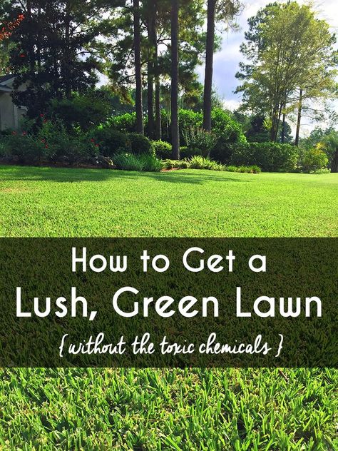 Grass Fertilizer, Simple Landscaping, Dreamy Places, Sustainable Gardening, Lawn Fertilizer, Family Safety, Kids And Pets, Eco Warrior, Lush Lawn