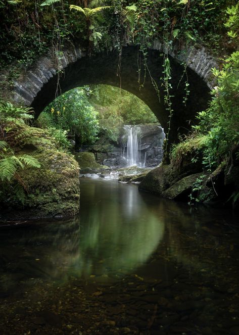 Castle Landscape, Rabastan Lestrange, Killarney National Park, Ireland Aesthetic, Killarney Ireland, Best Of Ireland, Old Bridges, Images Of Ireland, Ireland Tours