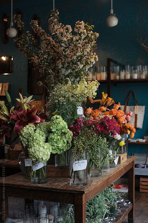 Florist Shop Interior, Flower Shop Display, Flower Shop Interiors, Florist Studio, Flower Shop Decor, Flower Cafe, Flower Shop Design, Flower Business, Flower Store