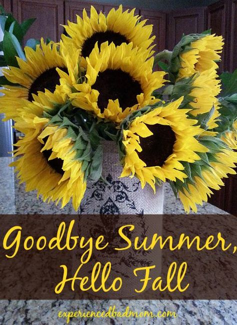 Goodbye Summer, Hello Fall! As we say goodbye to summer, is there anything you wish you had done this summer, but didn't? Come find out what I wish I had done more often! Office Outfit Women Business, Goodbye Summer Hello Fall, Porch Fall Decor, Business Casual Winter, Goodbye Summer, Fall Bedding, Diy Front Porch, Bad Mom, Pretty Planners