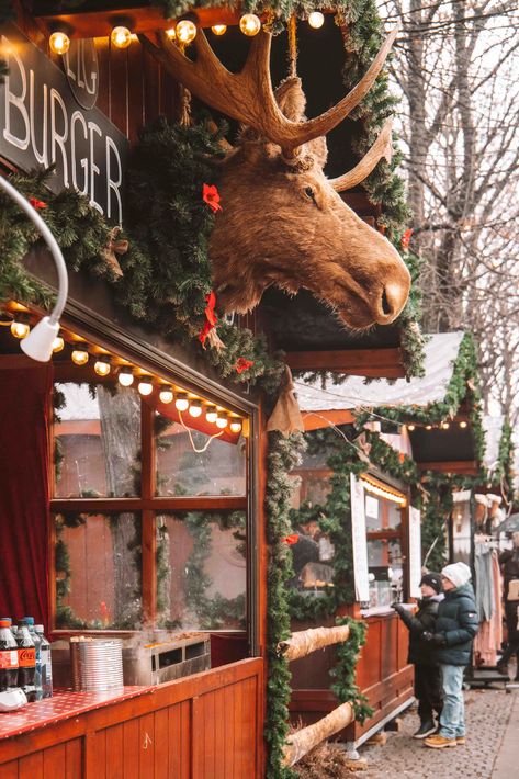 Norway In January, Christmas In Scandinavia, Oslo Norway Aesthetic Winter, Oslo In Winter, Bergen Norway Winter, Oslo Norway Photography, Oslo Norway Winter, Oslo Norway Aesthetic, Oslo Christmas