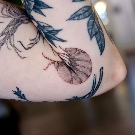 Tattoo bucket list item: ✔️ Thank you Bo, for asking me to tattoo this lil roly poly guy! Now I want one 🙃 🍥 🎯 🎱 #tattoo #tattoideas #finelinetattoo#portlandtattoo #portlandtattooartist #birdhousetattoo #rolypoly #rolypolytattoo #pillbugtattoo Woodlouse Tattoo, Rollie Pollie Tattoo, Roly Poly Tattoo, Rolly Polly Tattoo, One Tattoo, Bug Tattoo, Roly Poly, Fine Line Tattoos, Tattoo Inspo