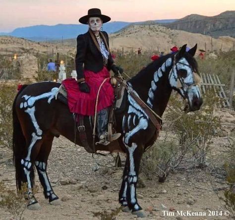 (1) Facebook Horse Halloween Ideas, Horse Halloween Costumes, Indian Horses, Horse Costumes, Horse Barn, Horse Photography, Horse Painting, Horse Rider, Horse Art