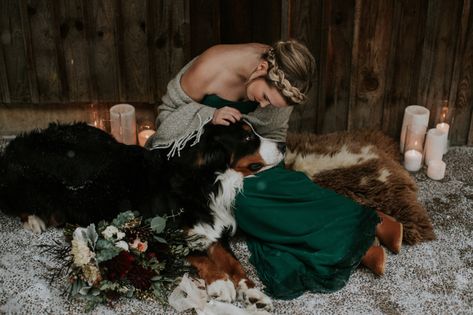 adorable wedding dog Hygge Wedding, Dog Photography Studio, Moody Wedding Photography, Dogs Photography, Dogs Diy Projects, Dog Paw Tattoo, Diy Dog Collar, Green Ideas, Dapple Dachshund