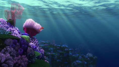 Finding Nemo – [FILMGRAB] Finding Nemo 2003, Ocean Backgrounds, Semester 2, Disney Games, Film Disney, Fish Wallpaper, Mac Wallpaper, Desktop Wallpapers Backgrounds, Theme Background