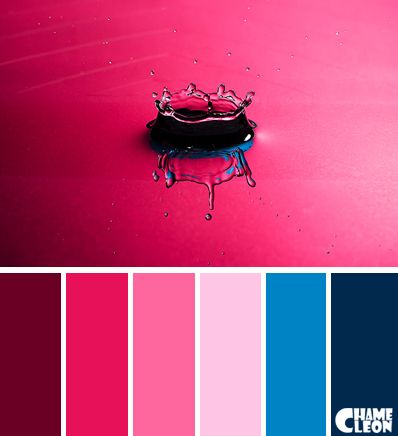 Color Palette, drop, raspberry pink. Blue Pink Red Colour Scheme, Fashion Knowledge, Black Color Palette, Chameleon Color, Red Color Schemes, Color Palette Pink, Bright Winter, Color Magic, Raspberry Pink