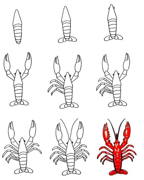 9 Easy Steps To Create A Lobster Drawing – How To Draw A Lobster Lobster Drawing, Easy Abstract Art, Lobster Design, Bullet Journal Doodles, Paper Crafts For Kids, Christmas Makes, Food Drawing, Journal Doodles, Flower Art Painting