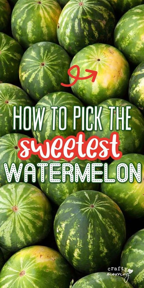 How to pick the best watermelon, what should you look for? This tip hack helps me choose the sweetest one every time at the grocery store. When To Pick Watermelon, How To Choose Watermelon, Picking Watermelon, Romaine Lettuce Growing, Watermelon Hacks, Watermelon Snack, Mascarpone Sauce, Best Watermelon, Risotto Rice