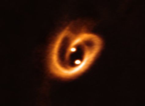 Stunning Images Reveal The Complex Birth of Binary Stars For The First Time Swarm Intelligence, Binary Star, Planetary System, Asteroid Belt, Astronomy Pictures, Neutron Star, Whirlpool Galaxy, Star Formation, Planetary Science