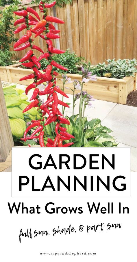 Beginners Garden, Vegetable Garden Planner, Organic Vegetable Garden, Garden Planner, Garden Types, Home Vegetable Garden, Organic Gardening Tips, Garden Pests, Organic Vegetables