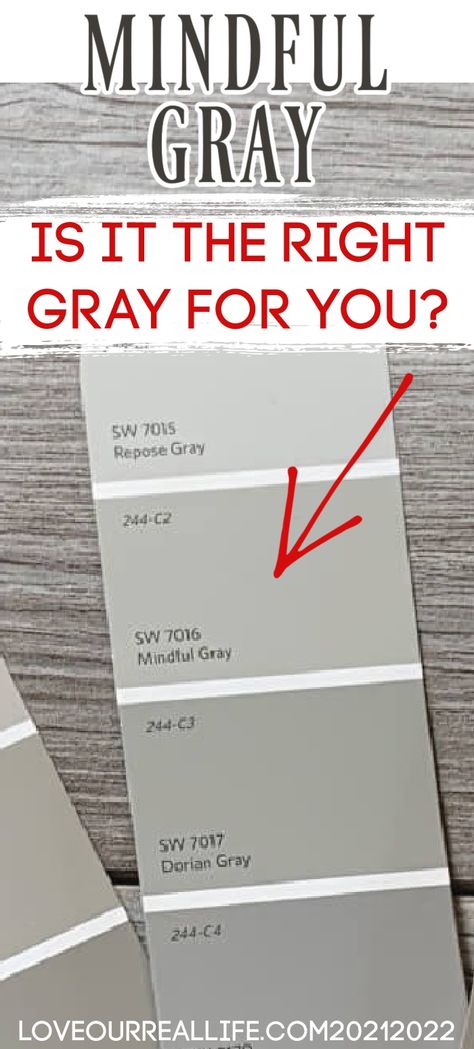 Sw 7016 Mindful Gray, Sherwin Williams Mindful Gray, Sw Repose Gray, Neutral Gray Paint, Perfect Greige, Mindful Gray Sherwin Williams, Exterior Gray Paint, Repose Gray Sherwin Williams, Warm Gray Paint