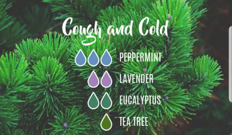 Cold Diffuser Blend, Oil For Cough, Essential Oils For Cough, Lilin Aroma, Crunchy Mom, Essential Oils For Babies, Săpunuri Handmade, Essential Oils For Colds, Essential Oil Diffuser Blends Recipes