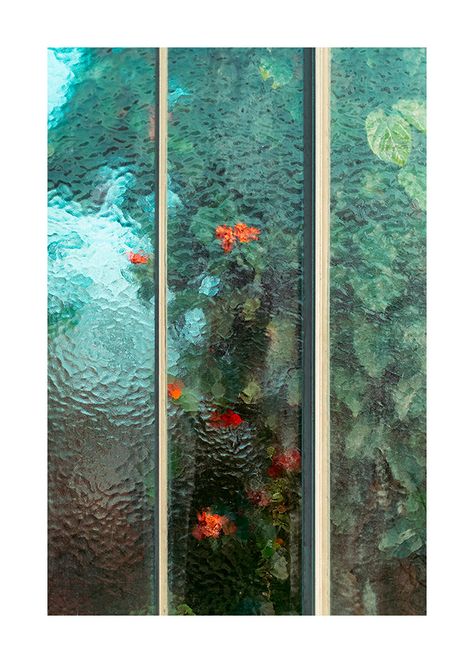 Greenhouse Windows, Colossal Art, Translucent Glass, Garden Pictures, Foto Art, Exotic Plants, Bar Lounge, My New Room, Botanical Illustration