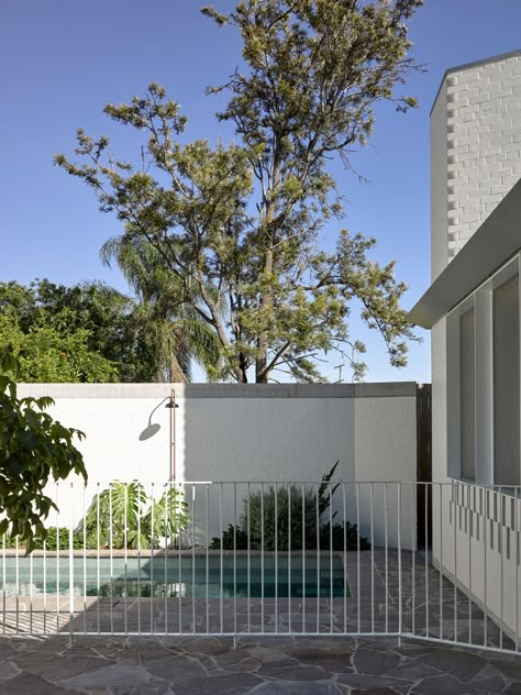 Mid Century Pool, Architect Photography, Pool Landscape Design, Park House, Modern Pools, Pool Fence, The Local Project, Fence Landscaping, Modern Beach House