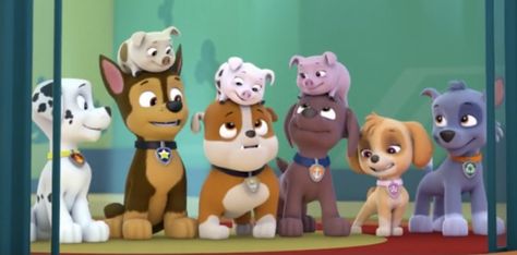 Paw Patrol Sea Patrol, Paw Patrol Zuma X Rocky, Chase Dog Paw Patrol, Paw Patrol Jungle Rescue, Ryder Paw Patrol, Paw Patrol Nickelodeon, Gamer Pics, Paw Patrol Pups, Paw Patrol