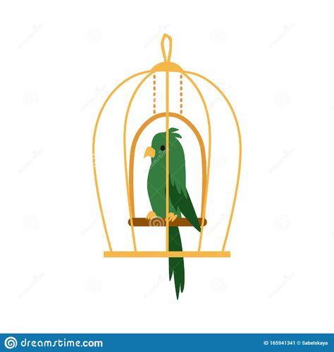 Green Exotic Parrot Bird In Cage Icon Flat Cartoon Vector Illustration Isolated. Stock Vector - Illustration of clinic, flat: 165941341 Parrot In Cage, Bird In Cage, Props Ideas, Flat Logo, Drawing Clipart, Parrot Bird, Emblem Logo, Flat Illustration, Logo Color