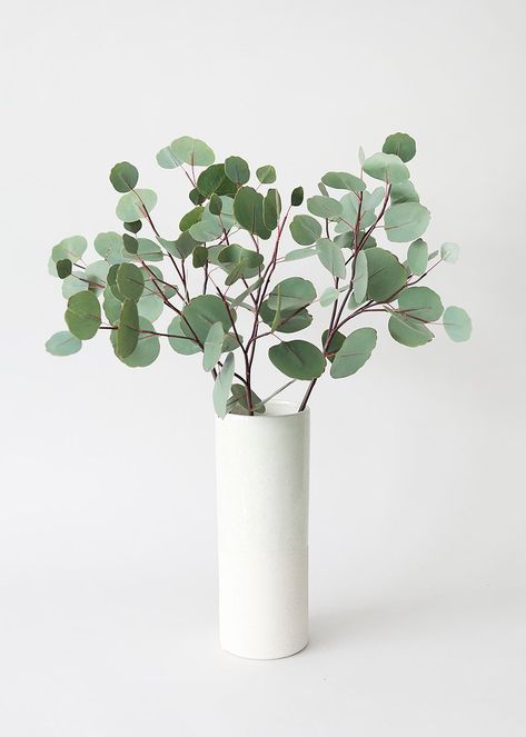 Eucalyptus Vase, Fake Eucalyptus, Flowers And Vases, Dusty Gray, Fake Leaves, Plant Study, Flower Identification, Dollar Eucalyptus, Silver Dollar Eucalyptus