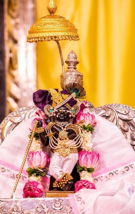 Bakebiharilal Photo Vrindavan, Radha Vallabh Ji Vrindavan Hd, Radharaman Ji Aesthetic, Harihara God, Radha Raman Ji Vrindavan, Radhavallabh Ji, Radharaman Vrindavan, Radha Raman Ji, Mor Pankh Background