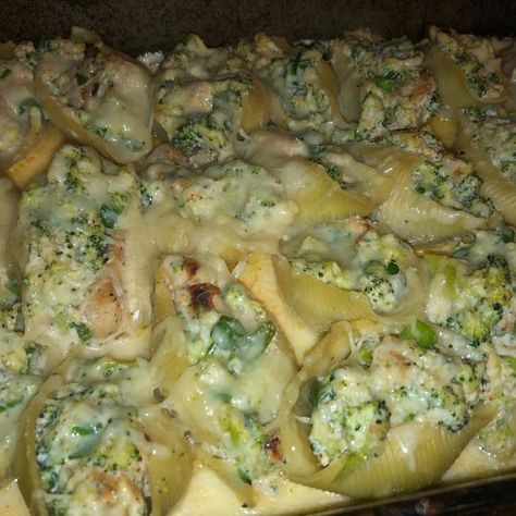 Cajun Chicken Alfredo Stuffed Shells Cajun Chicken Alfredo Stuffed Shells, Cajun Chicken Stuffed Shells, Cajun Stuffed Shells, Chicken Alfredo Stuffed Shells, Alfredo Stuffed Shells, Cajun Chicken Alfredo, Chicken Stuffed Shells, Stuffed Shells Ricotta, Chicken And Shrimp