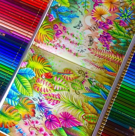 Magical Jungle Johanna Basford, Ocean Coloring Pages, Basford Secret Garden, Enchanted Forest Coloring Book, Joanna Basford Coloring, Johanna Basford Secret Garden, Enchanted Forest Coloring, Magical Jungle, Johanna Basford Coloring Book