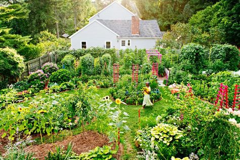 What Is a Permaculture Garden? Plus 12 Tips for Planting Your Own Permaculture Garden, Growing Garden, Composting At Home, Sensory Garden, Gardening Trends, Permaculture Design, Permaculture Gardening, Garden Help, Better Homes And Garden