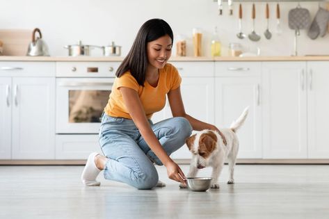 What Premium Dog Food Customers Are Most Concerned About | Current Issue | petproductnews.com Dehydrated Dog Food, Dog Puzzle Toys, Dog Puzzles, Raw Dog Food Recipes, Dog Nutrition, Dog Diet, Chicken And Rice, Essential Nutrients, Chronic Disease