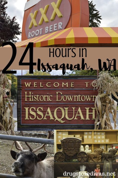 If you like animals and the outdoors, you’ll love the mountain town of Issaquah. Find out what things to do in Issaquah, Washington you don’t want to miss. #hosted Sammamish Washington, Washington Things To Do, Seattle Airport, Issaquah Washington, Auburn Washington, Washington Travel, Hilton Garden Inn, Visit Santa, Vacation Tips