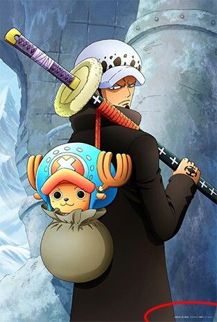 Opm Manga, Trafalgar D Water Law, One Piece Chopper, رورونوا زورو, One Piece Wallpaper Iphone, One Piece Ace, One Piece Funny, One Peice Anime, Trafalgar Law