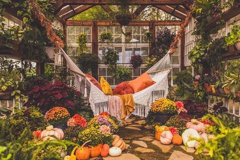 Now this is a Cozy Hammock Sunday!! 🧡💛❤️ Beautiful greenhouse by @vaughanhousegreenhouse —————————————— 👉🏼Follow us @ez_leaf 🌿Follow us… Portraits Pastel, Victoria Magazine, Backyard Greenhouse, Greenhouse Gardening, Room With Plants, Plants And Flowers, Greenhouses, Dream Rooms, Dream House Decor