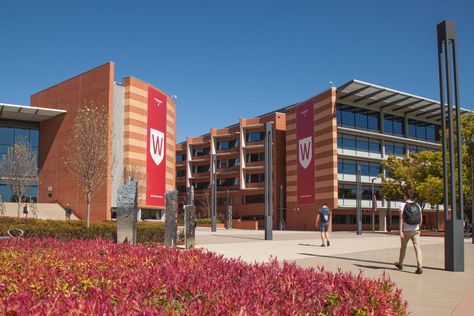 International Scholarships, Womens Safety, Western University, University Of Sydney, Student Information, Best University, Data Breach, Student Data, International Students