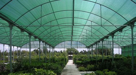 SHADING STRUCTURES | ININSA Shading Structure, Snail Farming, Curved Roof, Interior View, Roof Structure, Roof Types, Greenhouse Gardening, Shade Structure, Ornamental Plants