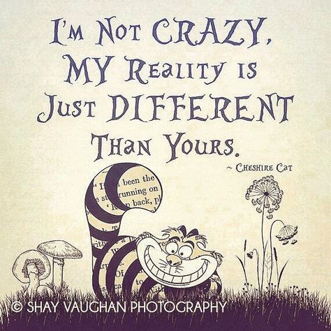 I'm not crazy my reality is just different than yours. #cslewis… Quotes Alice In Wonderland, Workout Office, Cheshire Cat Quotes, Alice Quotes, Alice And Wonderland Quotes, Wonderland Quotes, Single Quotes, Funny Life, Home Quotes And Sayings