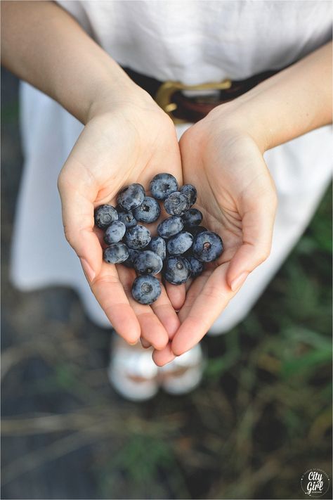 Blueberry picking styled shoot in South Korea by Roxy Hutton of CityGirlSearching Berries Photography, Styled Photoshoot, Blueberry Picking, Blueberry Farm, Fun Organization, Blueberry Bushes, Farm Photo, Food Photography Styling, Summer Fruit