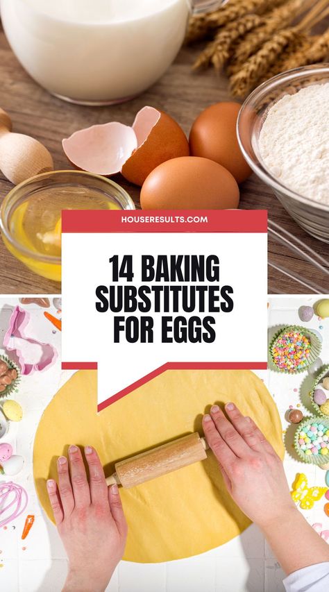 Are there baking substitutes for eggs? Are they lactose-intolerant and vegan-friendly? This article provides everything you know about the varieties of egg substitutes you can use in your baking recipe. Substitutes For Eggs, Ingredients Substitutions, Baking Without Eggs, Baking Substitutions, Egg Substitutes, Egg Substitute In Baking, Egg Nutrition, Egg Substitute, Egg Allergy